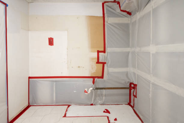 Best Mold Documentation for Insurance Claims  in West Rancho Dominguez, CA